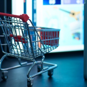 Data Leaks on India’s Top Fashion E-Commerce security